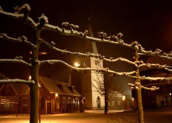 De eikenprocessierups in Holten gemeente 