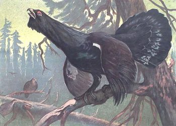 Jubileum voor Levende Kerststal Dondertman Jubileum espelo dondertman 