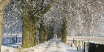 HoltensNieuws.nl Oen beste kammeroad? Oen beste kammeroad? vvd lokaal