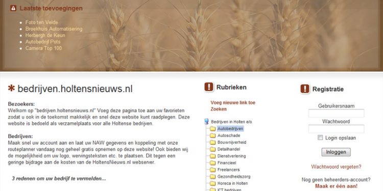 Bedrijven op HoltensNieuws.nl 