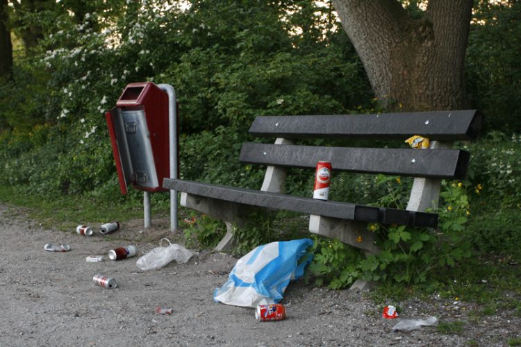 Feest bij het Vletgoor 