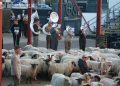Afscheid Reinaardus Vis op markt Holten fotoalbum 