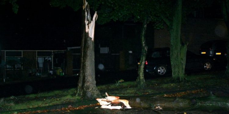 Boom om bij Poon brandweer 