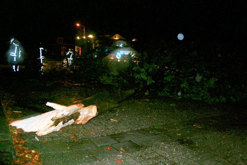 Boom om bij Poon brandweer 