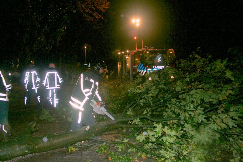 Boom om bij Poon brandweer 