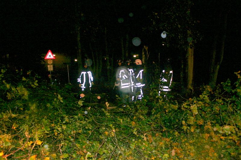 Boom om bij Poon brandweer 