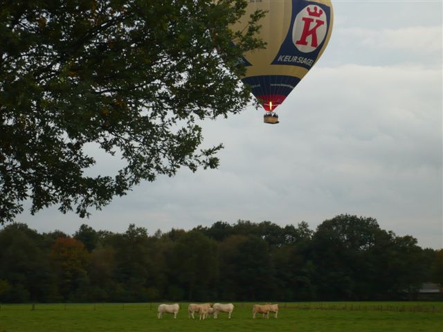 Holtenaren in ballon 