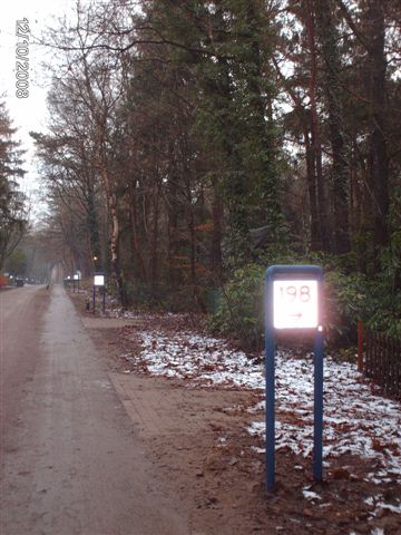 Borkeld gekapt en in het licht gezet gemeente 