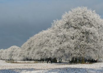 HHV is voor verschuiven van problemen 