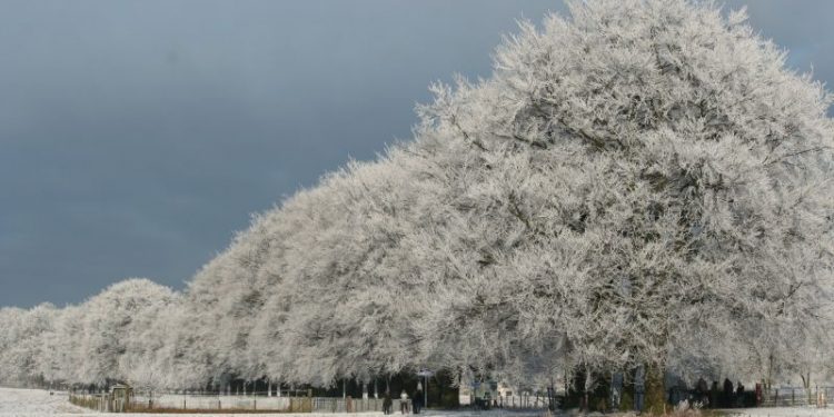 Mooie natuur 