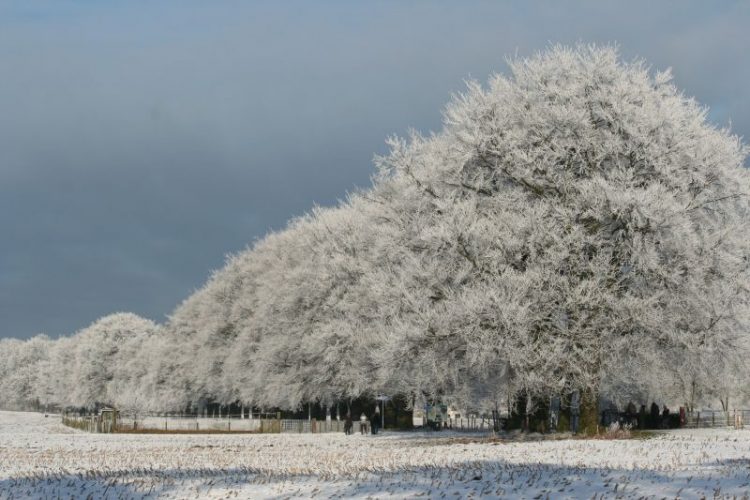 Mooie natuur 