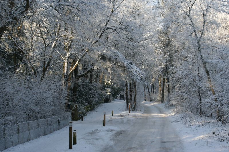 Mooie natuur 