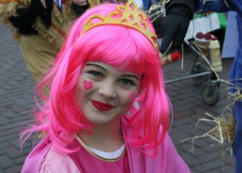 Fienpreuvers winnen schlagerfestival fienpreuvers carnaval 