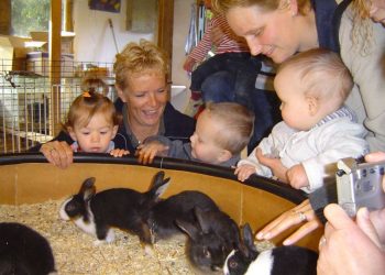 Kinderboerderij krijgt 46.000 Euro espelo dondertman 