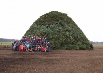 Snoeihout voor Paasvuren paasvuur espelo dijkerhoek beuseberg 