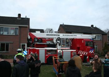 Gevonden een hondje 