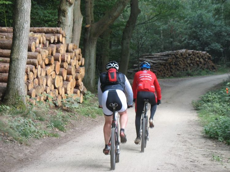 Herfstveldrit, fietsend genieten van natuurgebied wielervereniging sallandse heuvelrug 