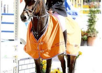 Hammertime niet gefinished 