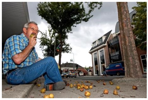 Het verhaal van de peren gemeente 