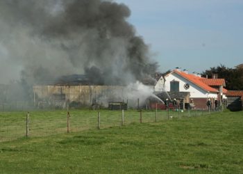 Koe gered uit gierkelder brandweer 