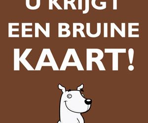 Vechtpartij na controle kaart politie 