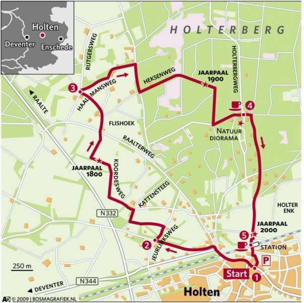 Milenniumbug in Holtens bos toontje smidsbelt bie toontje 