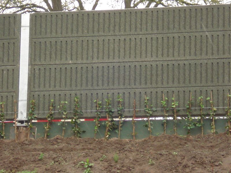 Prorail geeft geen antwoord op vraag burger gemeente 