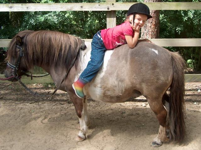 Ponydag 