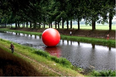 Bol op Schipbeek 