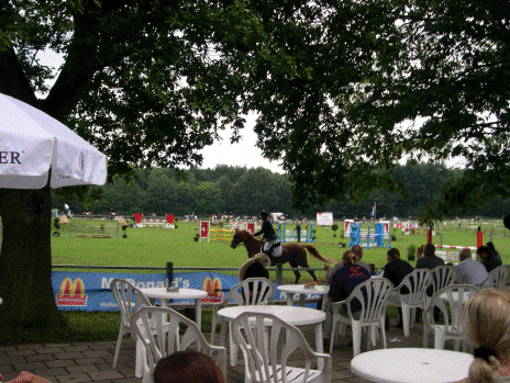 Voorbereidingen Rabobank-Bergruiters Concours Holten in volle gang. 