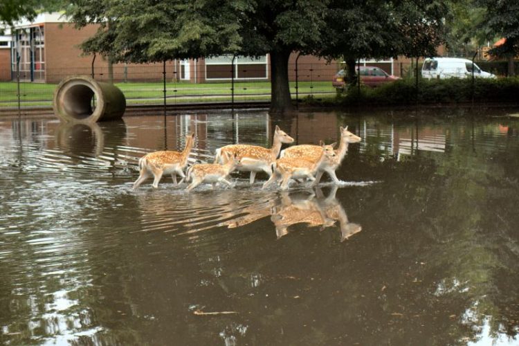Wateroverlast in Holten, stuur je foto's brandweer 