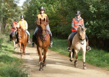 Rallysupporters op de bon sallandse heuvelrug politie 