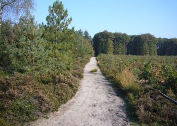 Holten als voorportaal van het Nationaal Park sallandse heuvelrug 