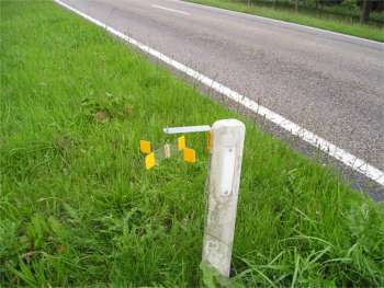 Wildspiegels houden reeen van de weg sallandse heuvelrug gemeente aanrijding 