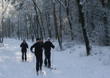 Holten als voorportaal van het Nationaal Park sallandse heuvelrug 