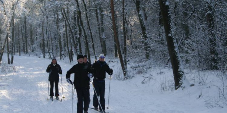 Langlaufen op Holterberg kan weer sallandse heuvelrug 