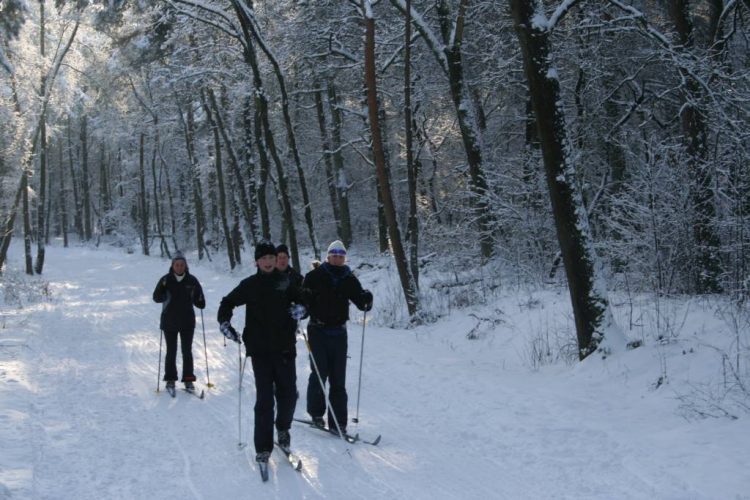 Langlaufen op Holterberg kan weer sallandse heuvelrug 