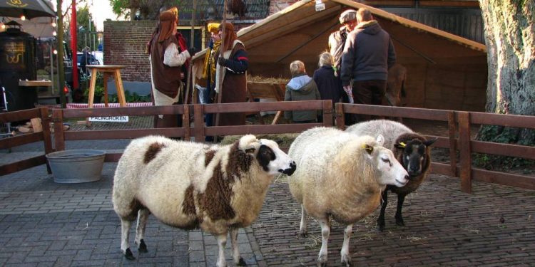 Kerstfair 2010 smidsbelt kulturhus korhanen de hoolter deerns 
