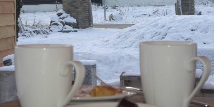 HoltensNieuws.nl Wandelen met stamppot op de Holterberg Wandelen met stamppot op de Holterberg natuurdiorama