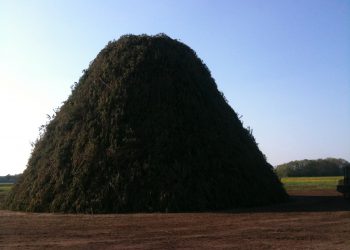 "Ach vader, lieg niet meer" buurtvereniging beuseberg beuseberg 