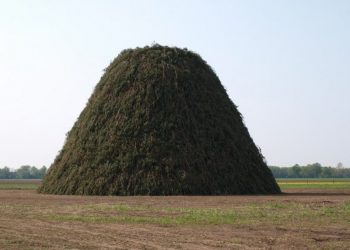 Dijkerhoek wint bouwen Paasboake holterbroek espelo dijkerhoek beuseberg 