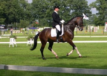 Vrienden en vriendinnen bij ZPT 