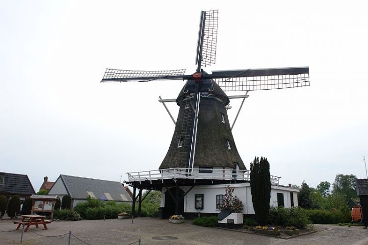 Opening molenwinkel met ‘preuveri-je’ bij Korenmolen de Hegeman dijkerhoek 