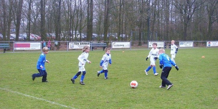 HoltensNieuws.nl Blauw Wit mini's zijn weer begonnen! Blauw Wit mini's zijn weer begonnen! blauwwit