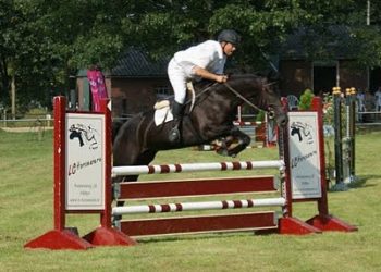Eindelijk zomer tijdens Springconcours RV De Bergruiters Holten 