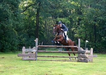 Eindelijk zomer tijdens Springconcours RV De Bergruiters Holten 
