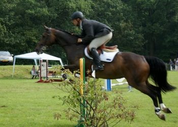 Eindelijk zomer tijdens Springconcours RV De Bergruiters Holten 