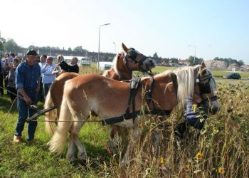 Bouw Kol officieel geopend tastoe gemeente 