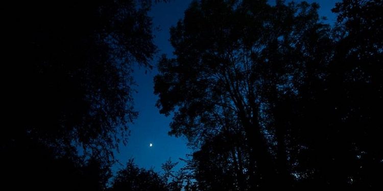 HoltensNieuws.nl Nacht van de Nacht Nacht van de Nacht gemeente