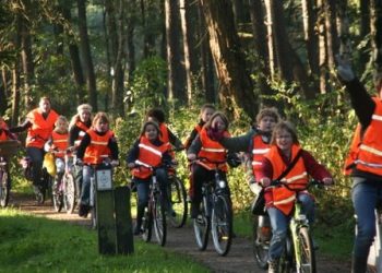 Kom in actie voor de rivierdolfijn! natuurdiorama 